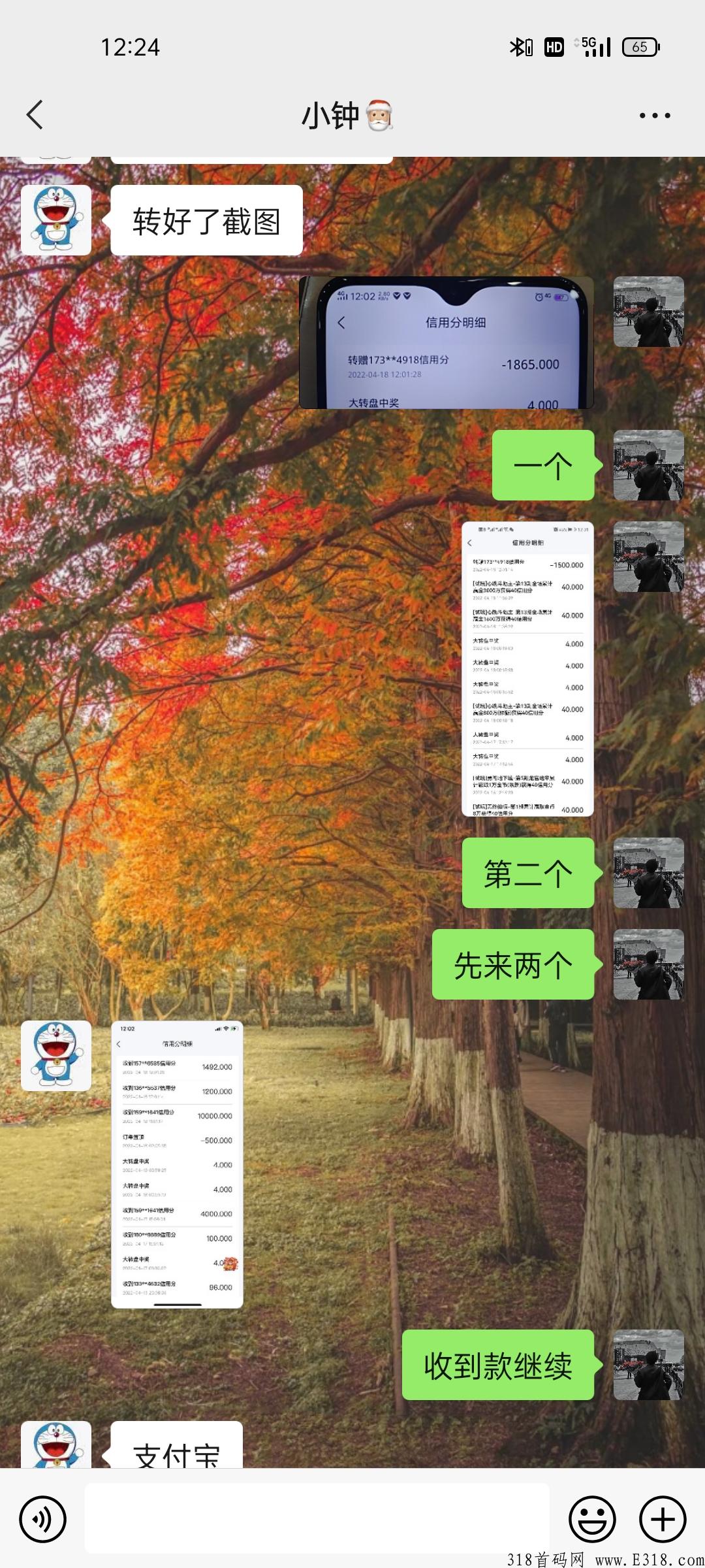 互联网首码项目，欢迎各大团队长来对接
