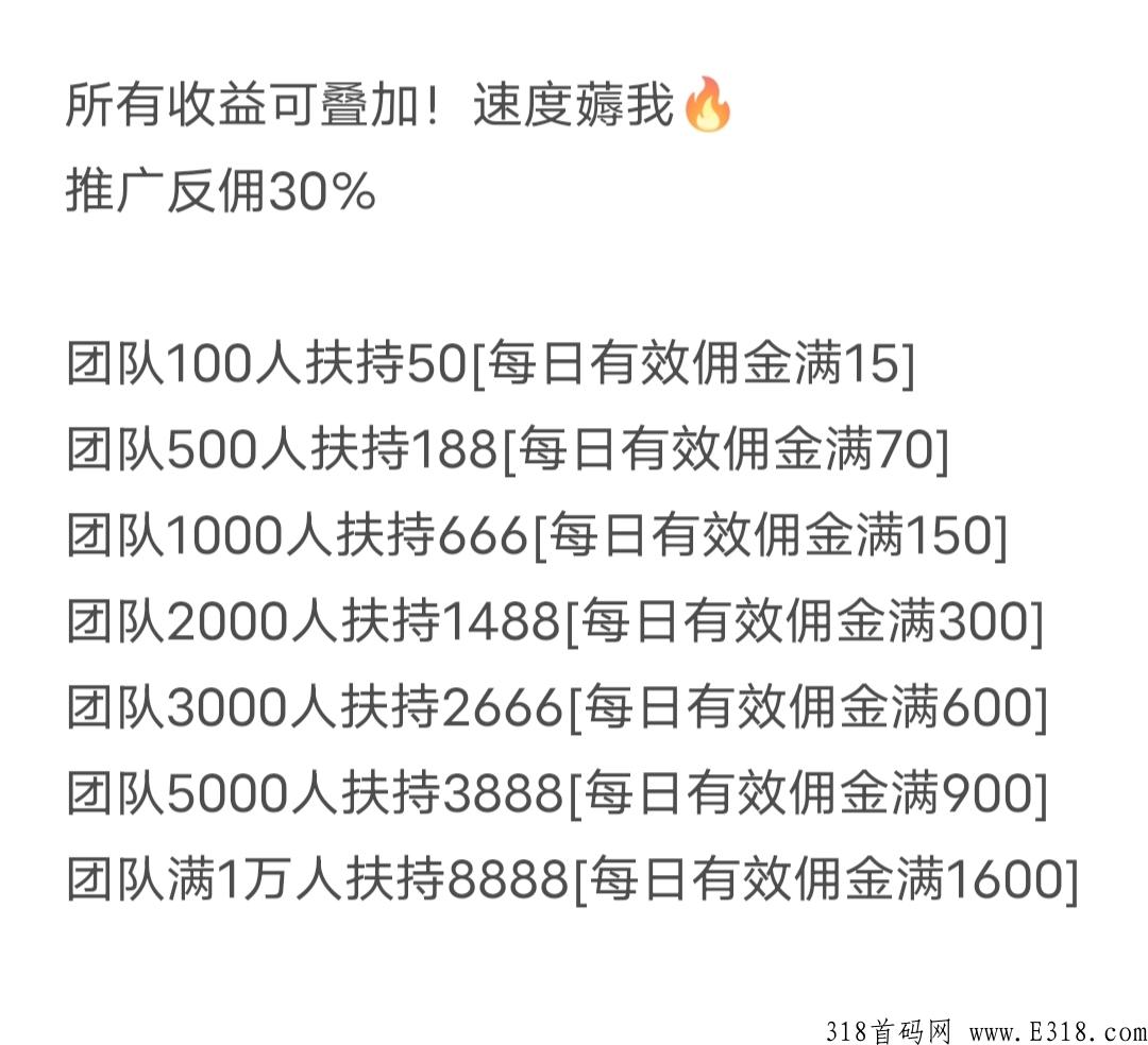 蓝鸟平台，比飞猪更强！首码高扶持速来撩！