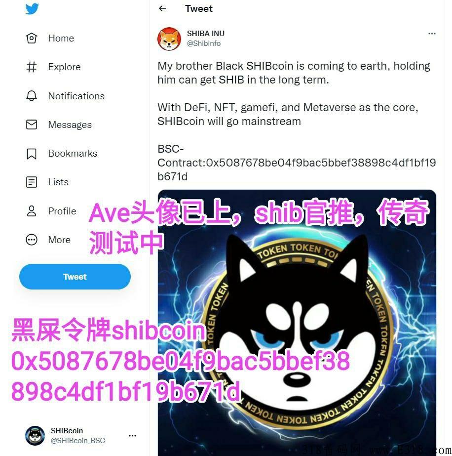 SHIBcoin（黑屎令牌），自动分奖励，五月大金狗