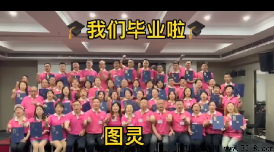 图灵TFT是什么，对接杨帆起航