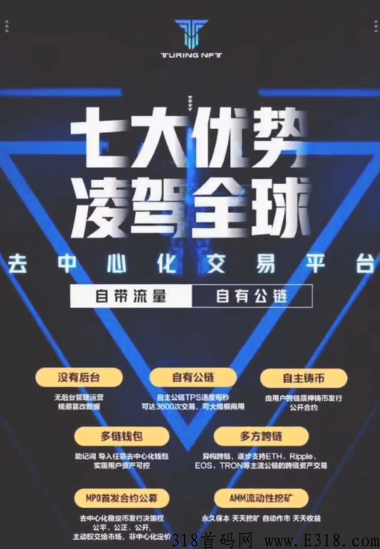 图灵TFT项目负责人是谁？靠谱吗？