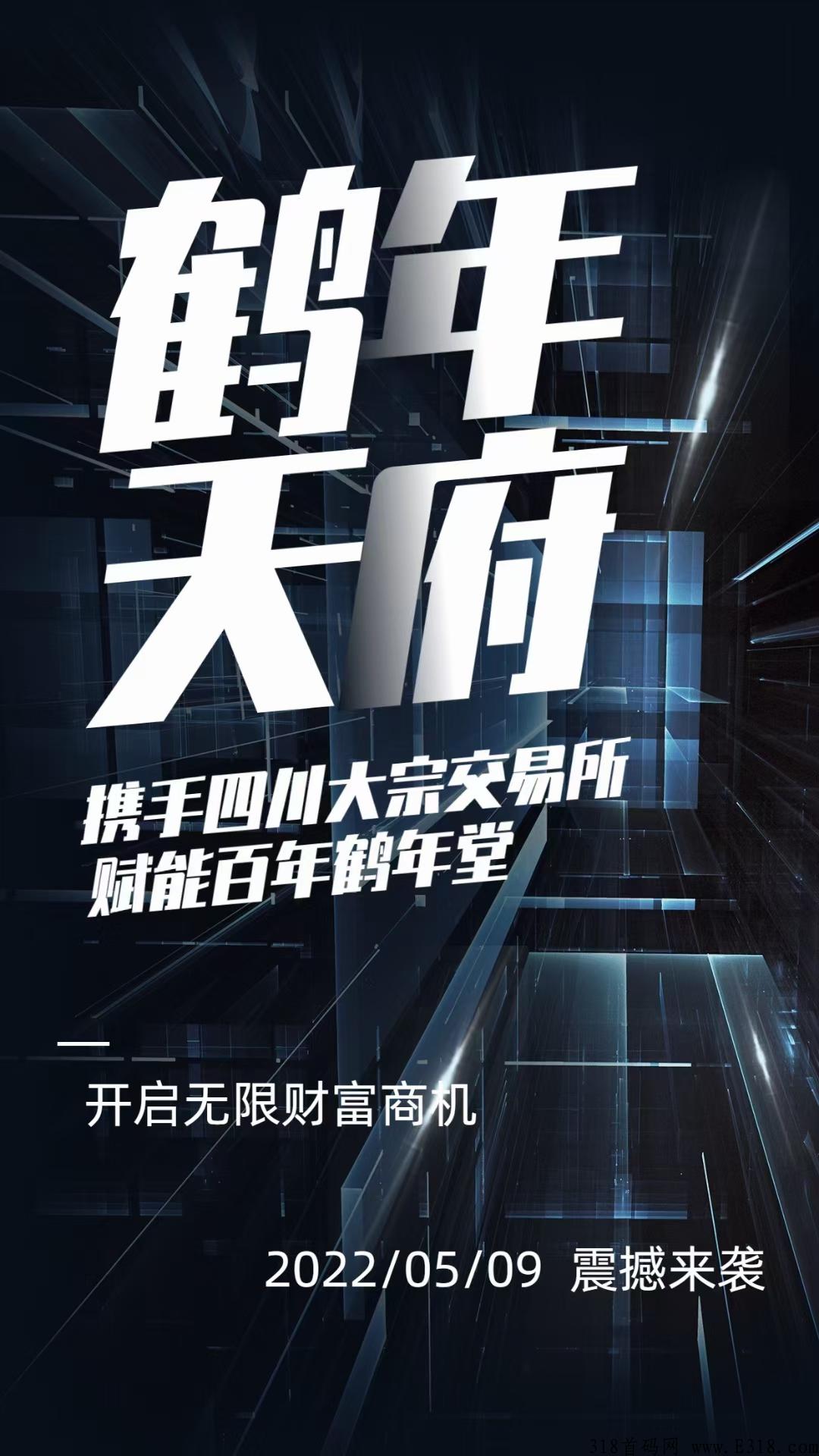 鹤年天府首码靠谱吗？到底是什么？