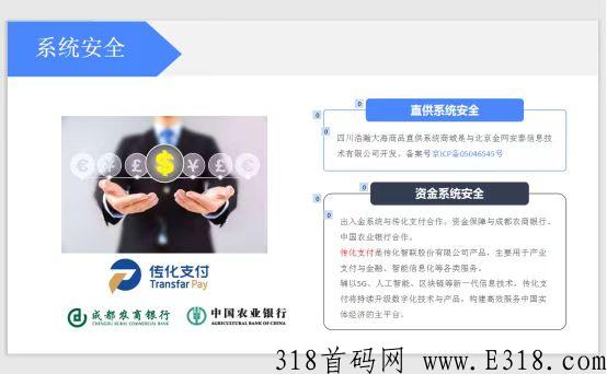 鹤年天府，明星大项目即将开始，究竟是什么？到底靠谱吗？