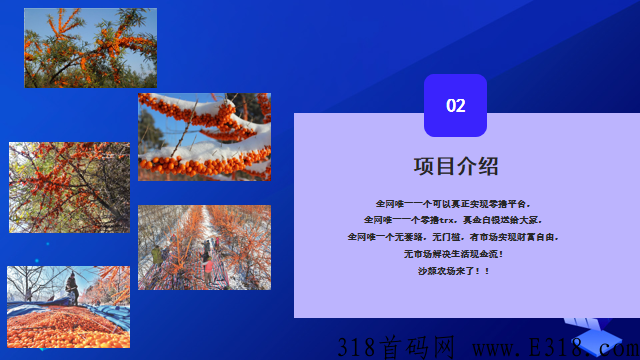 沙棘农场（卷轴模式） 全网唯一一个可以真正实现零撸平台