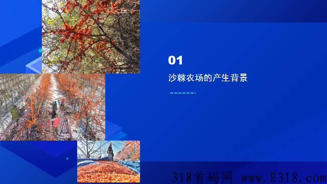 沙棘农场（卷轴模式） 全网唯一一个可以真正实现零撸平台