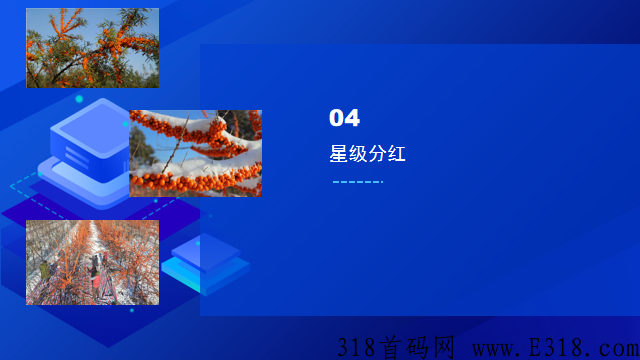 沙棘农场（卷轴模式） 全网唯一一个可以真正实现零撸平台