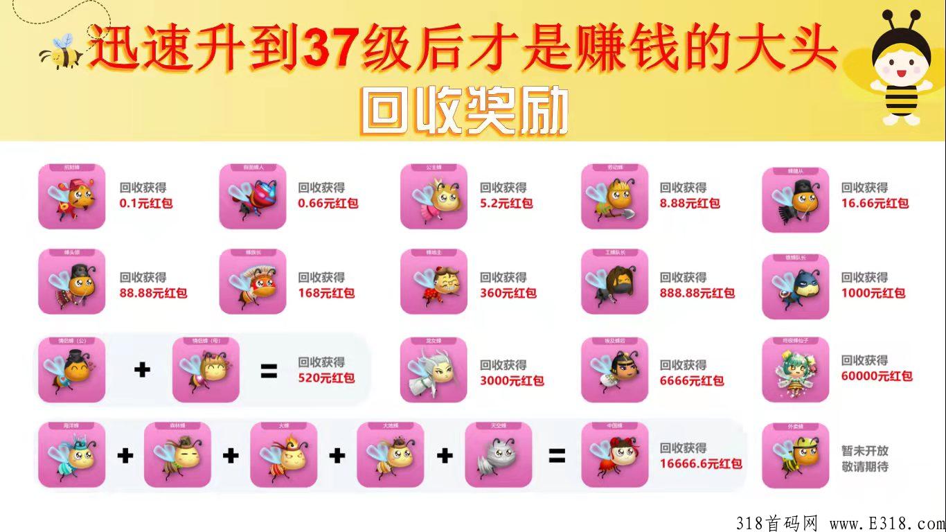 一起来养蜂，不下载，领不停，收益高