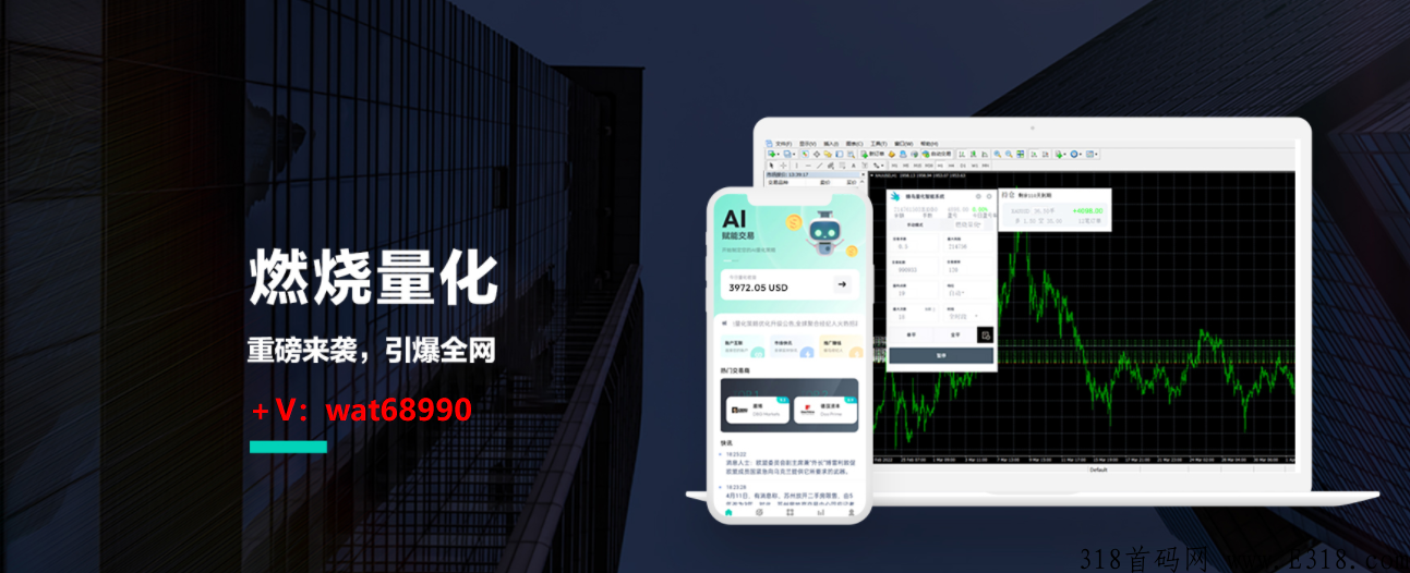 蜂鸟量化到底是什么鬼?为什么那么火？