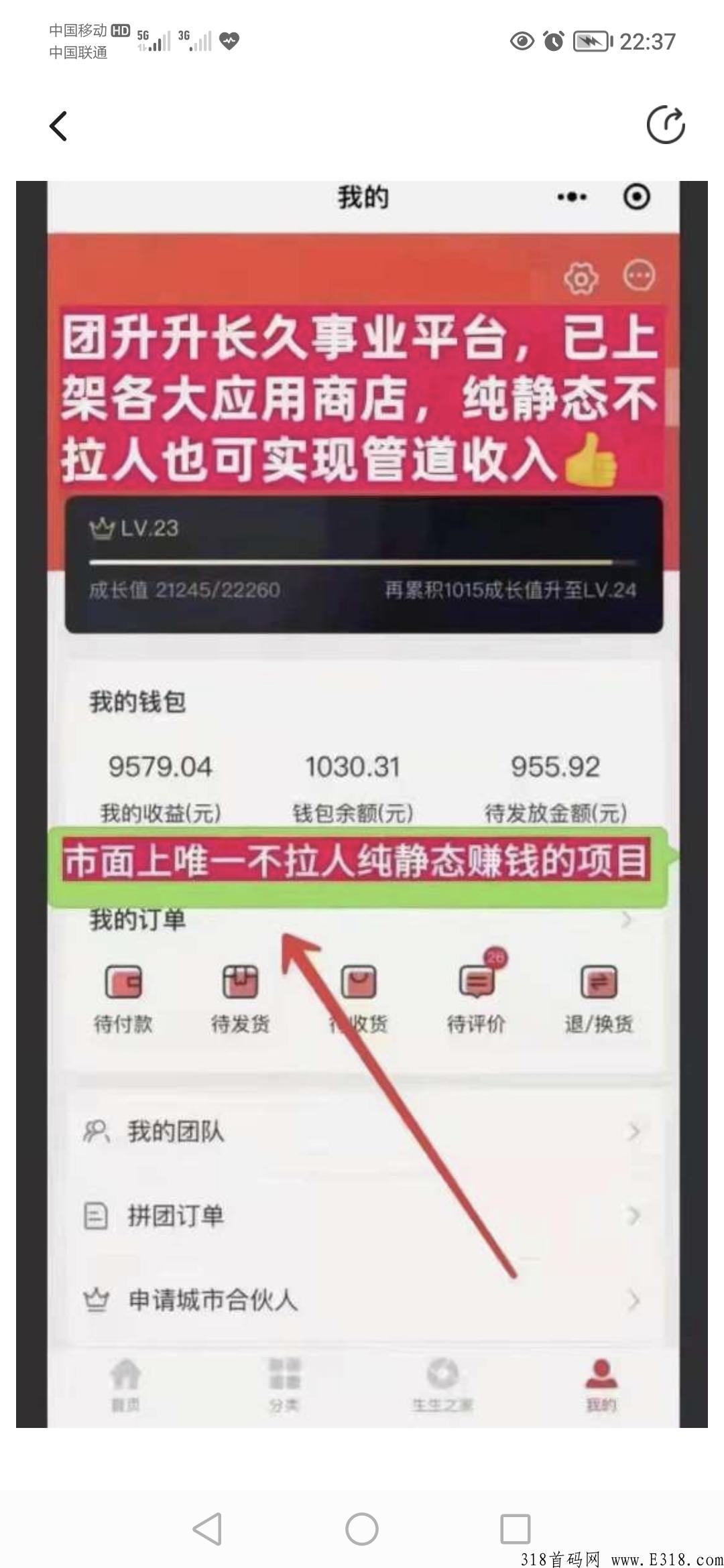 团生生首码项目刚出，0撸，注册免费成为代理，不推广也有收益