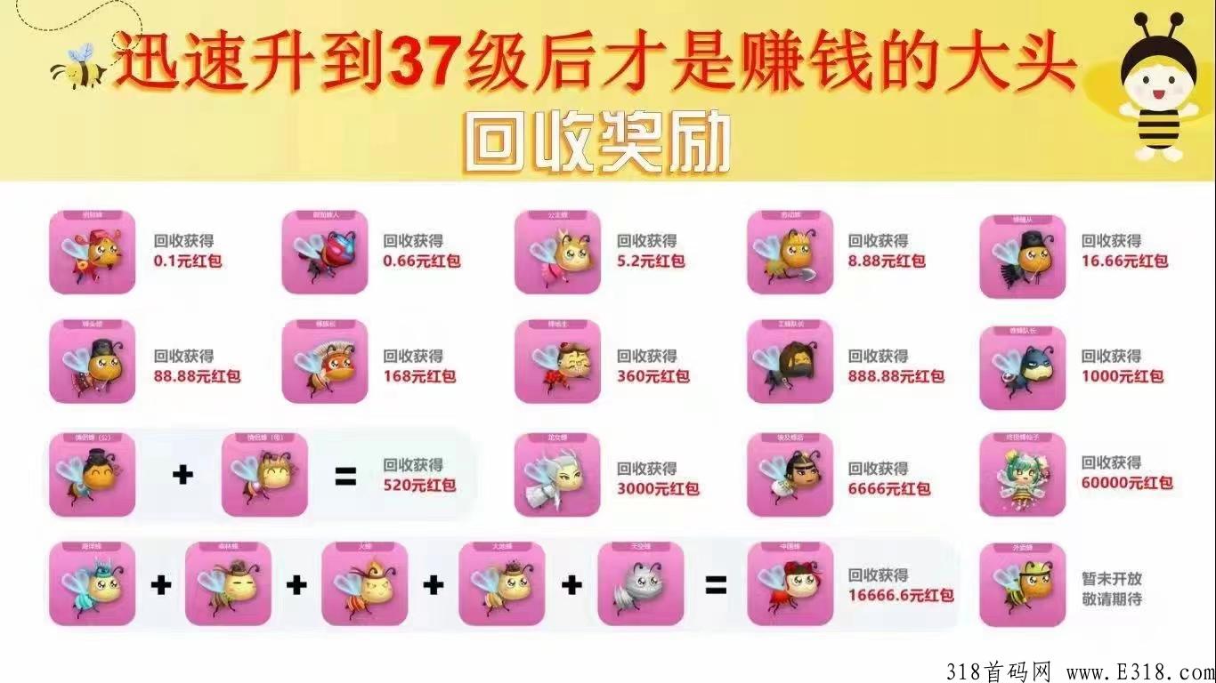 一起来养蜂  首码刚出  速度来  天天挂机秒上车