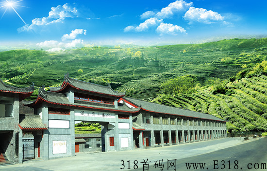 开心茶坊城，众筹模式的风口，大公司大背景大模式，放心撸