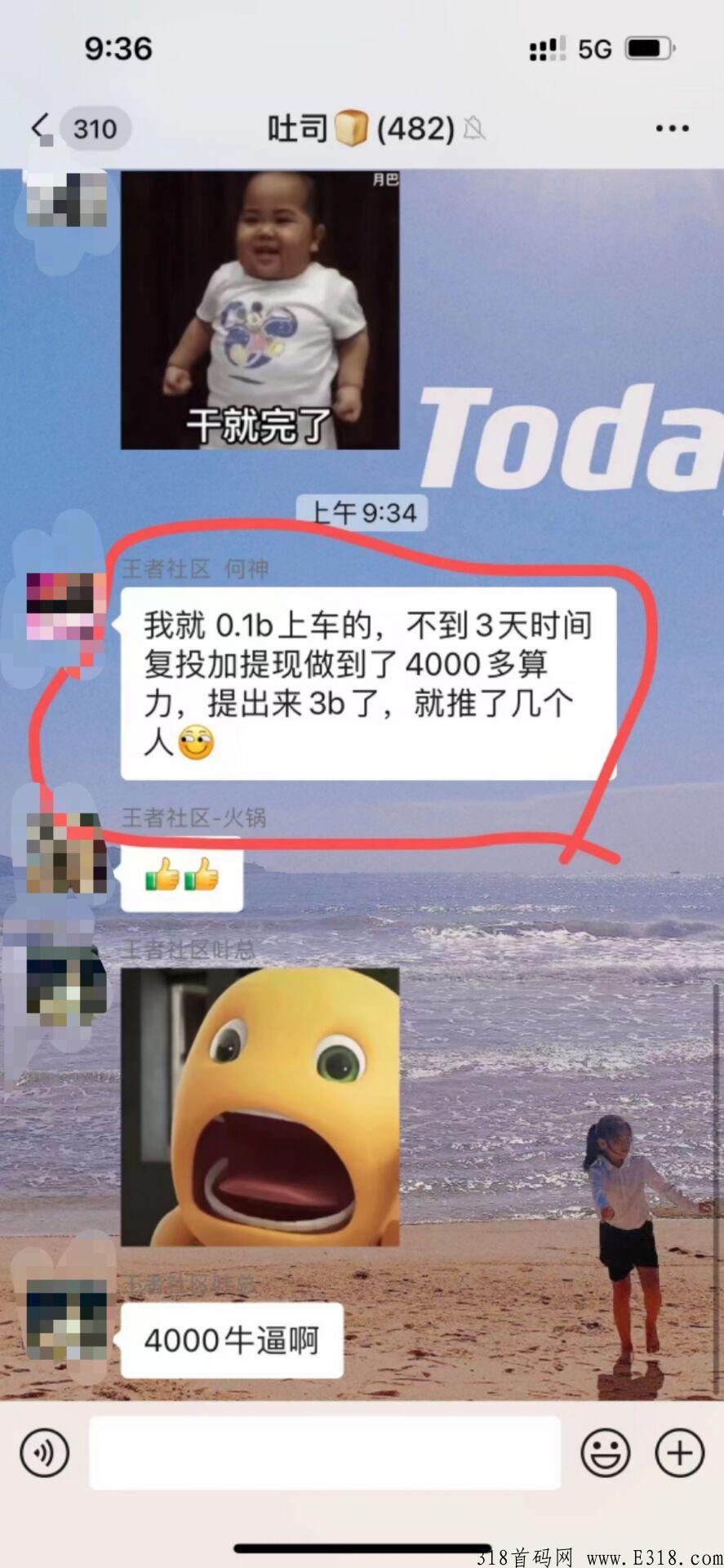 烤吐司，暴力首码，每天静态收益