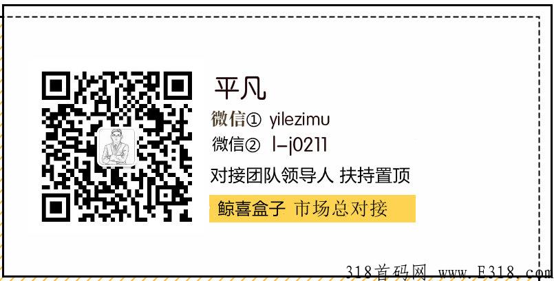 鲸喜盒子首码，安全靠谱的项目对接各界团队长，内部信息，奖励政策优厚