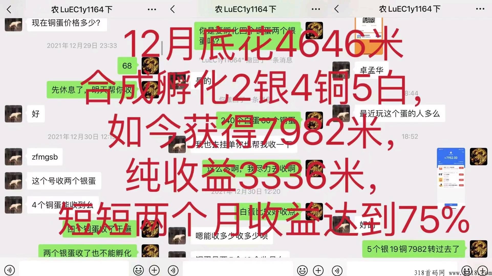 嫌其他项目收益太慢？来【阿尼农场】招募团长两名大力扶持