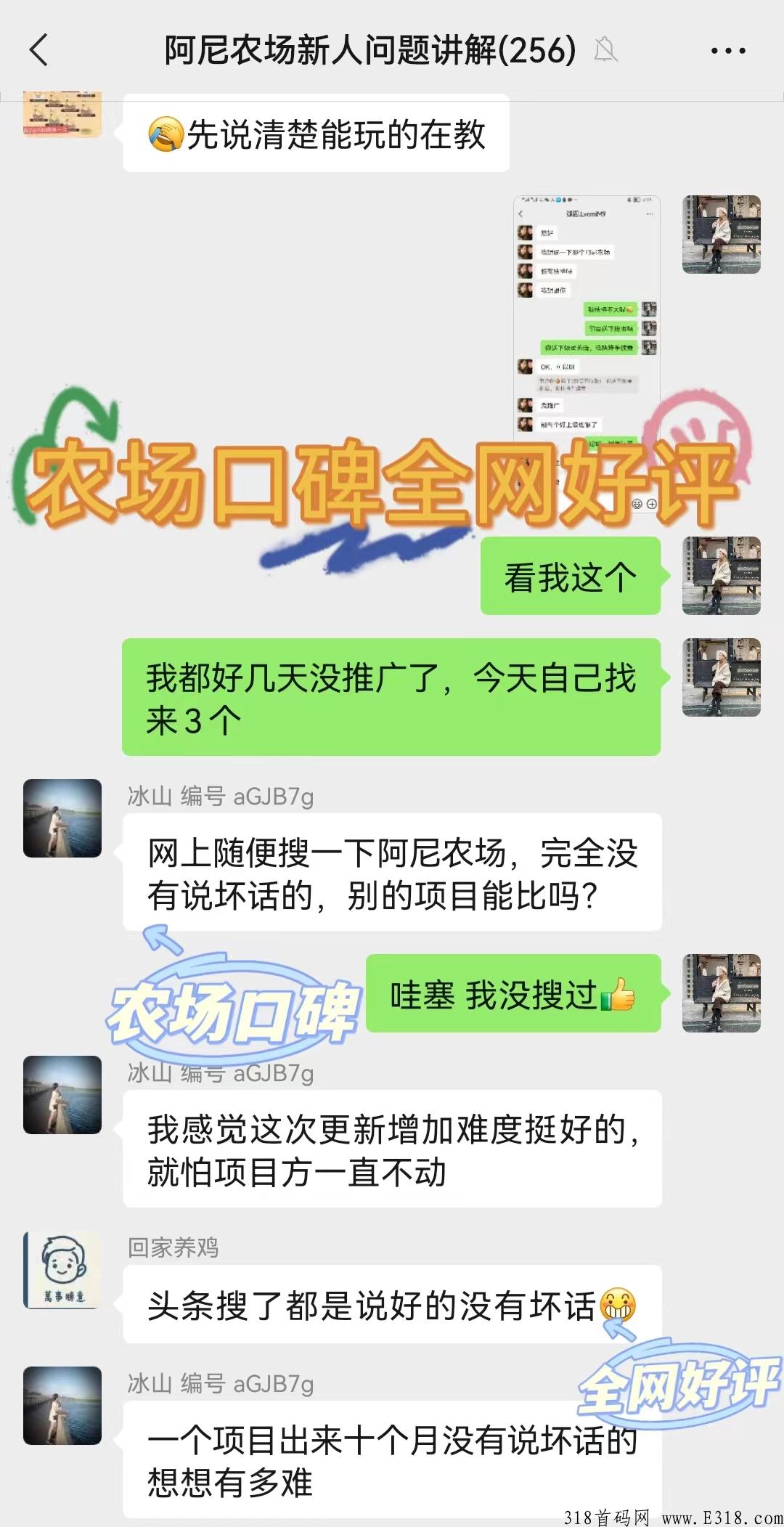 嫌其他项目收益太慢？来【阿尼农场】招募团长两名大力扶持
