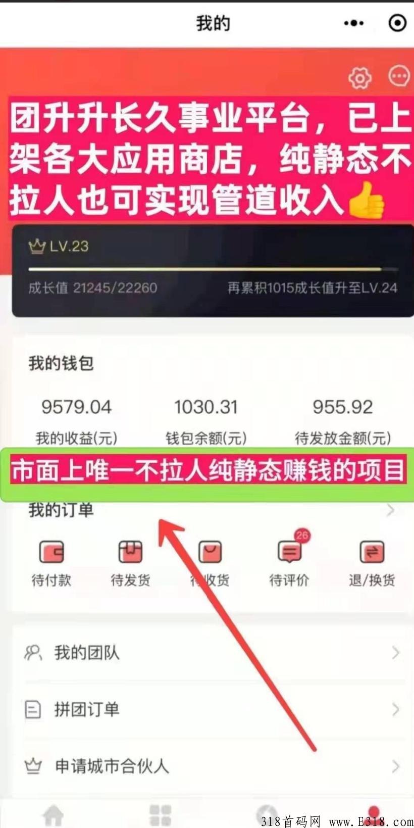 团生生app不推广,不实名，注册送团队，自动赚钱，纯静态收入