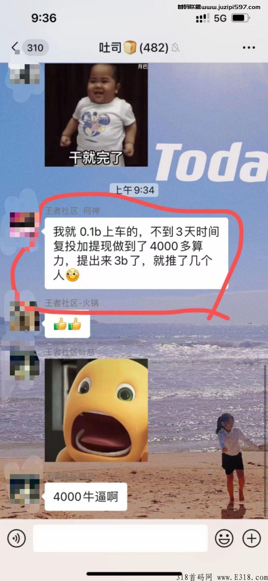 烤吐司半月必火爆全网，首码项目