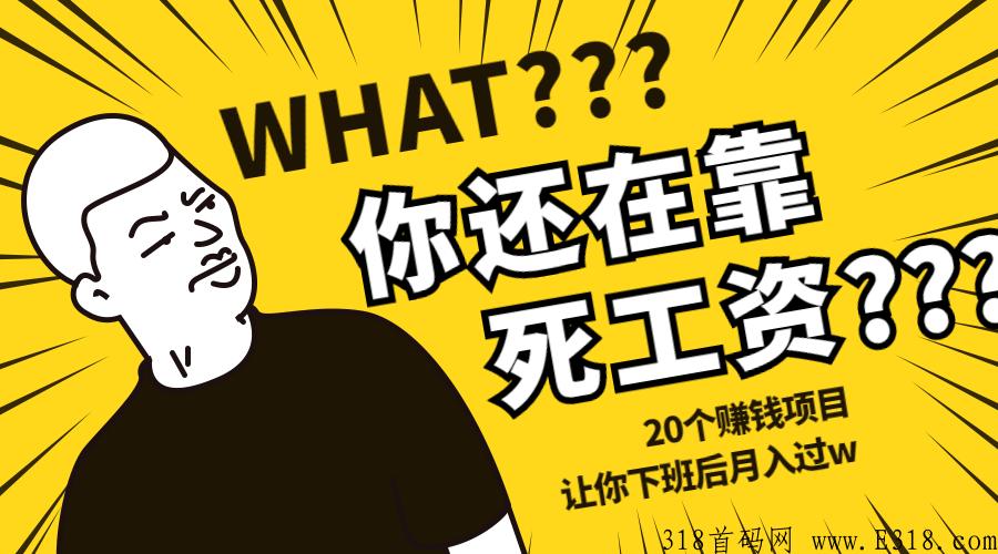 全网最热首码项目！全程有人带，副业轻松赚米！