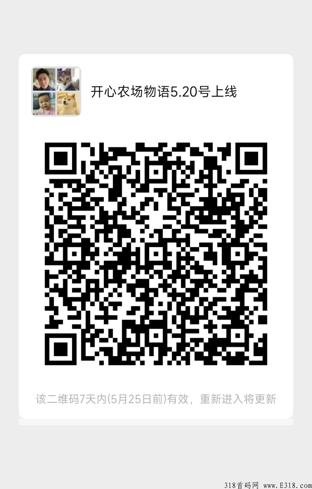 开心农场物语链游，开心网IP授权，网易美工制作
