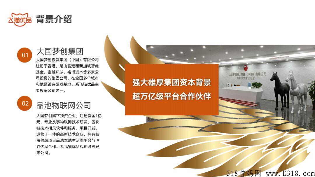 飞猫优品，6月初上线，零撸券轴模式，背书强大，一手对接市场领导人