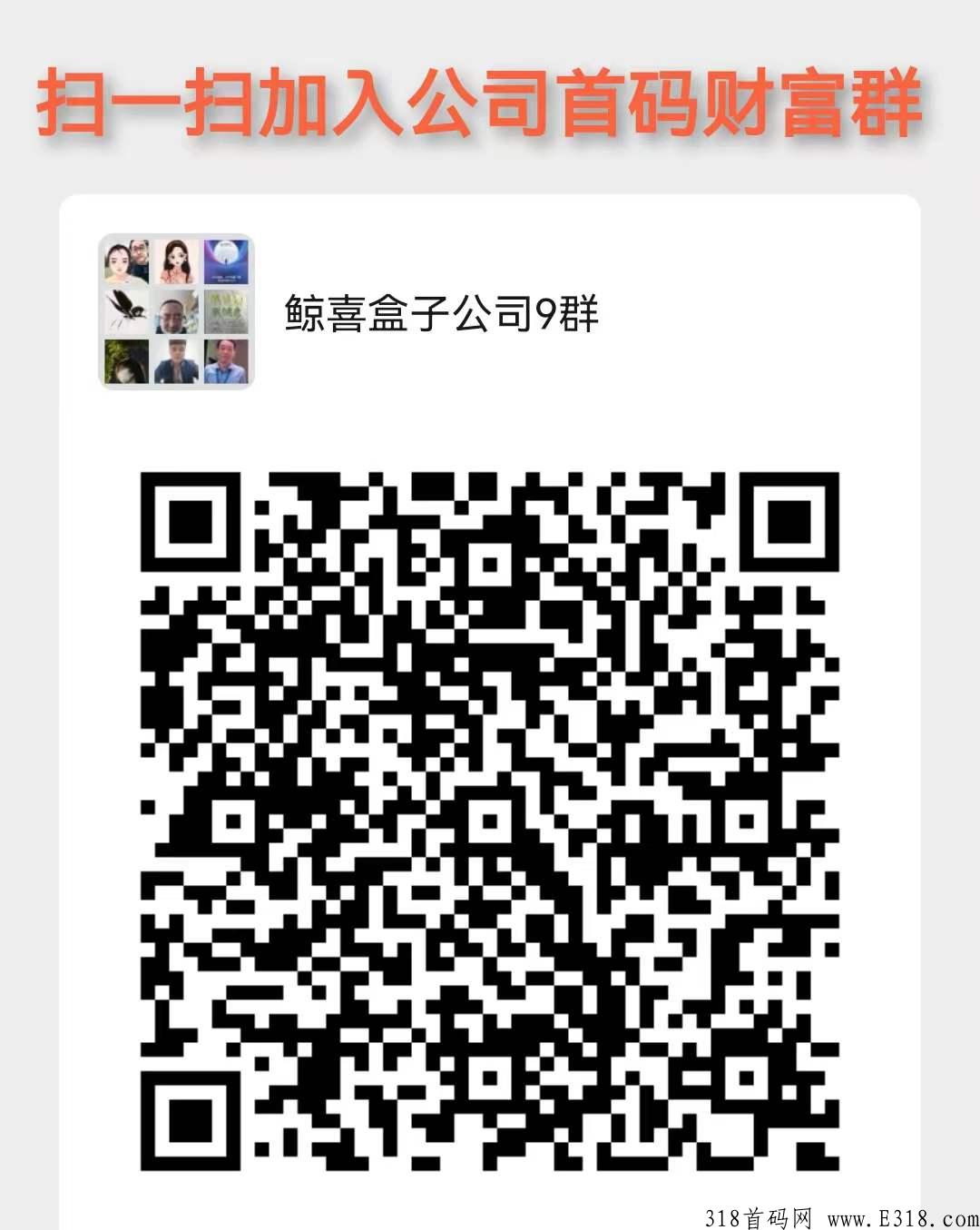 鲸喜盒子首码，轻松赚钱的机会来了，诚邀您合作必有惊喜