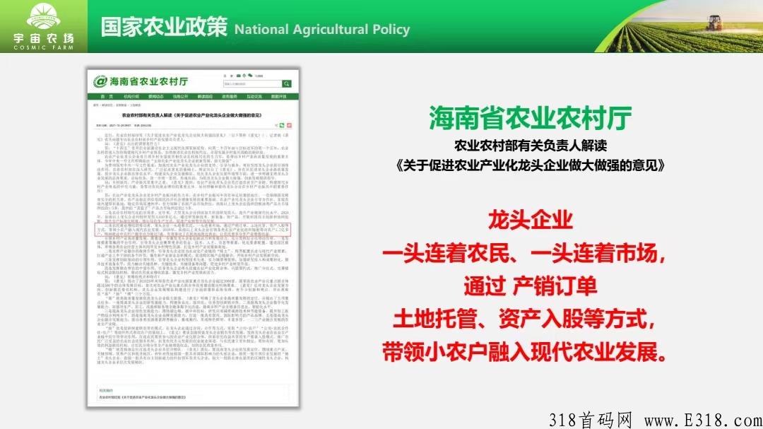 宇宙农场火爆全网，保证人人可吃肉