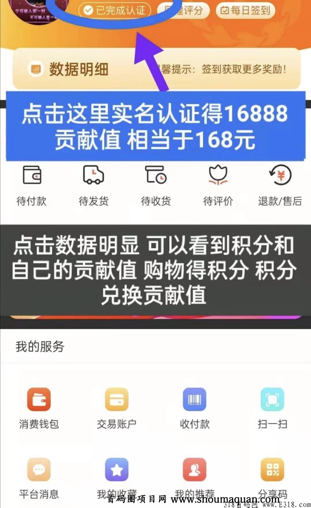 君凤煌注册分奖励，全网最长久稳定项目