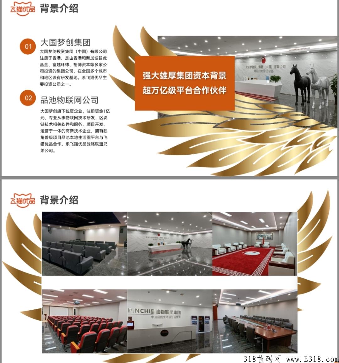 大黑马卷轴，飞猫优品火爆全网最高扶持