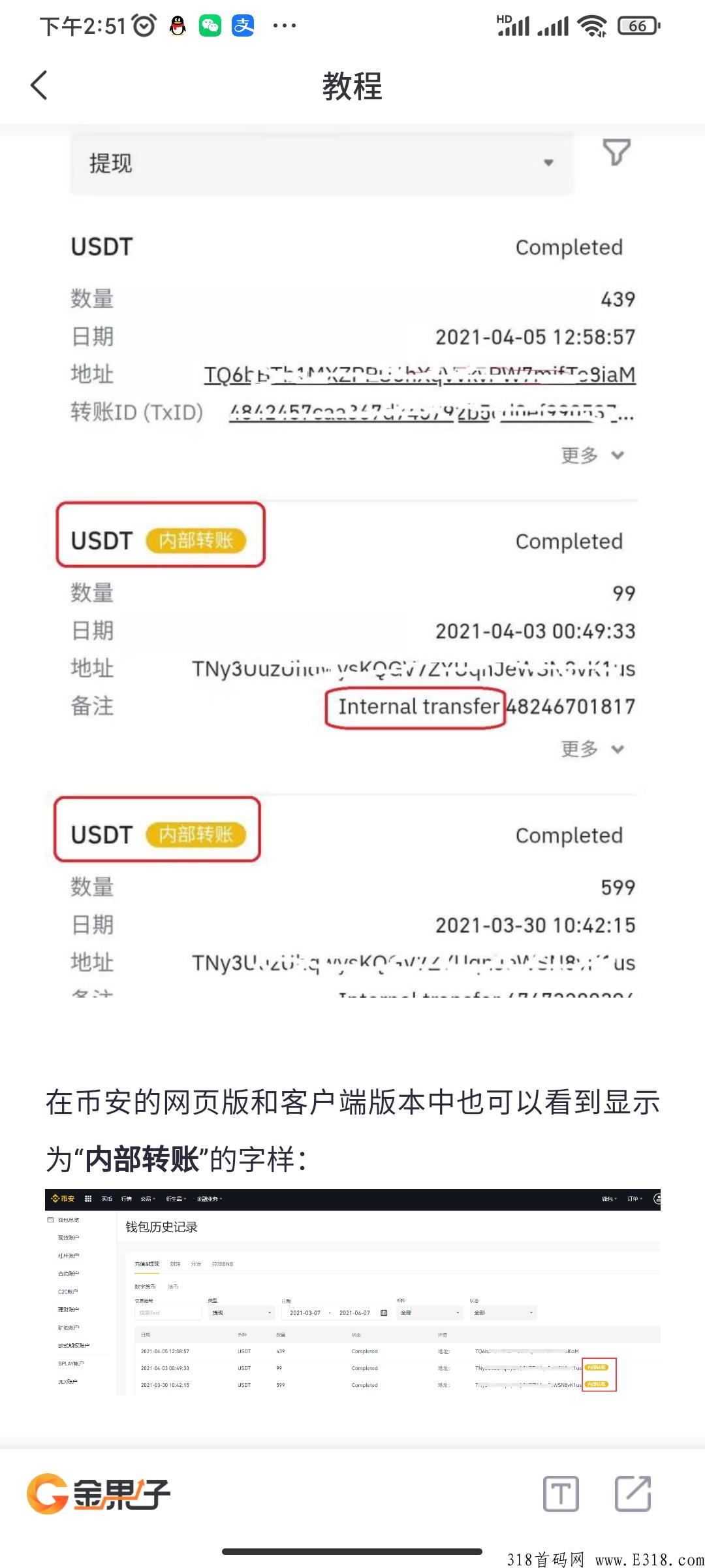 金果子量化，一款适合小白使用的量化神器