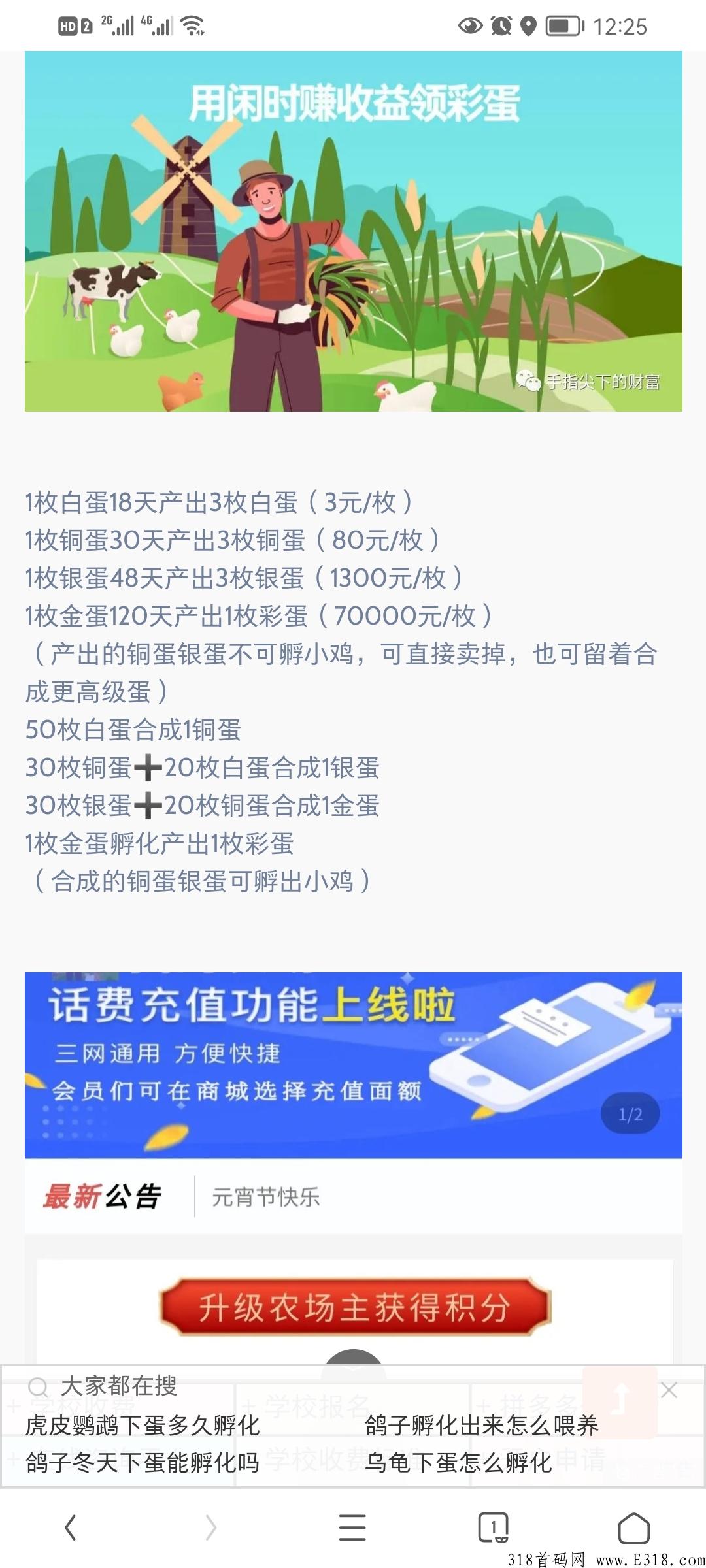 阿尼农场，饲养富贵鸡，产金蛋，领财富