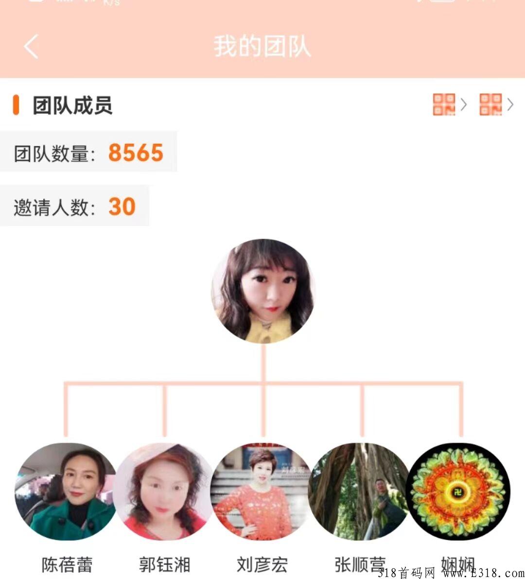 乐分享，做了这的项目，从来没有遇见过真正的大公排，更没有遇到过血脉落地的