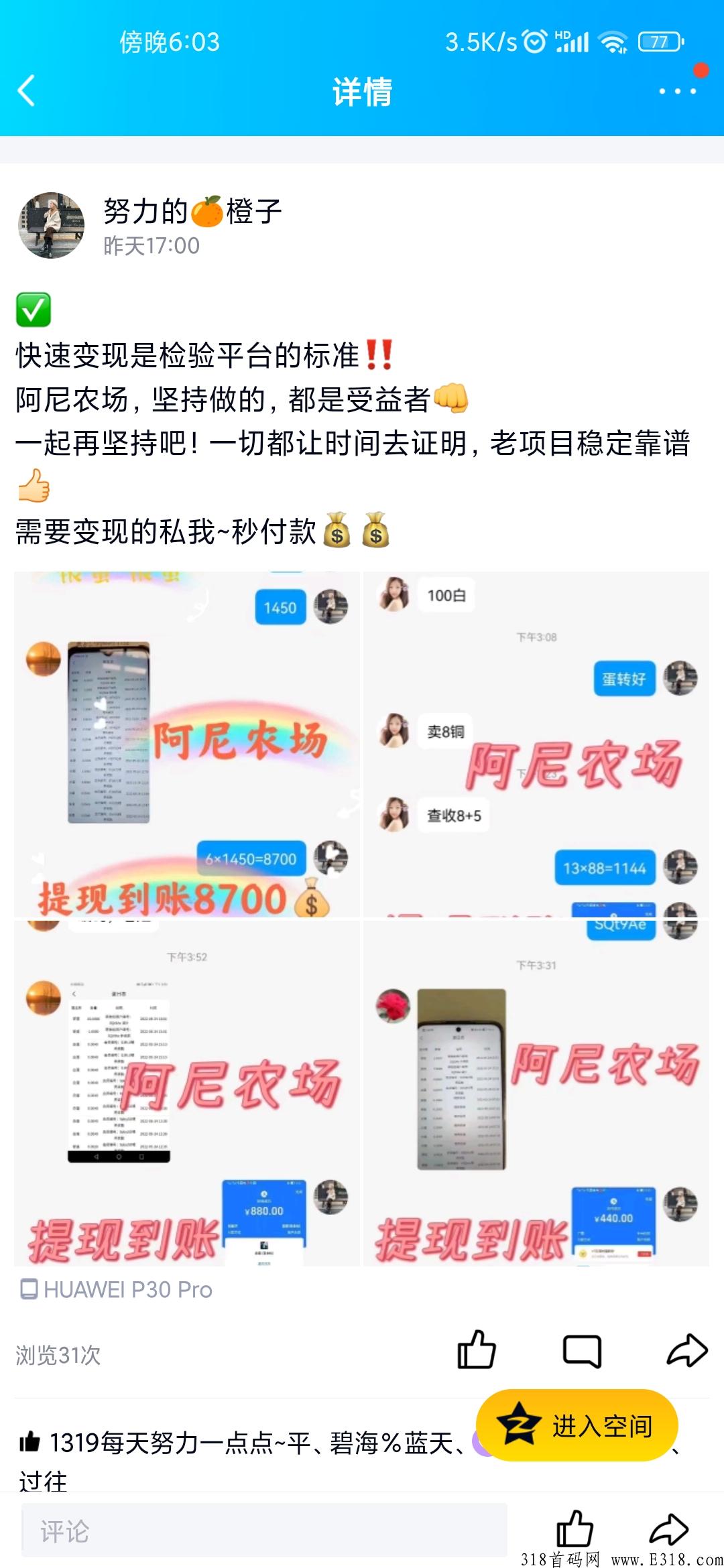 阿尼农场，稳定1年的龙头项目