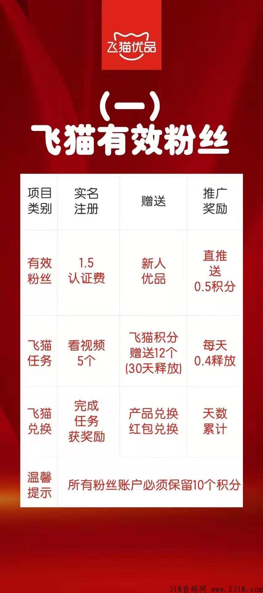 飞猫优品排线中！分享无压力！无风险！长期项目！欢迎咨询！
