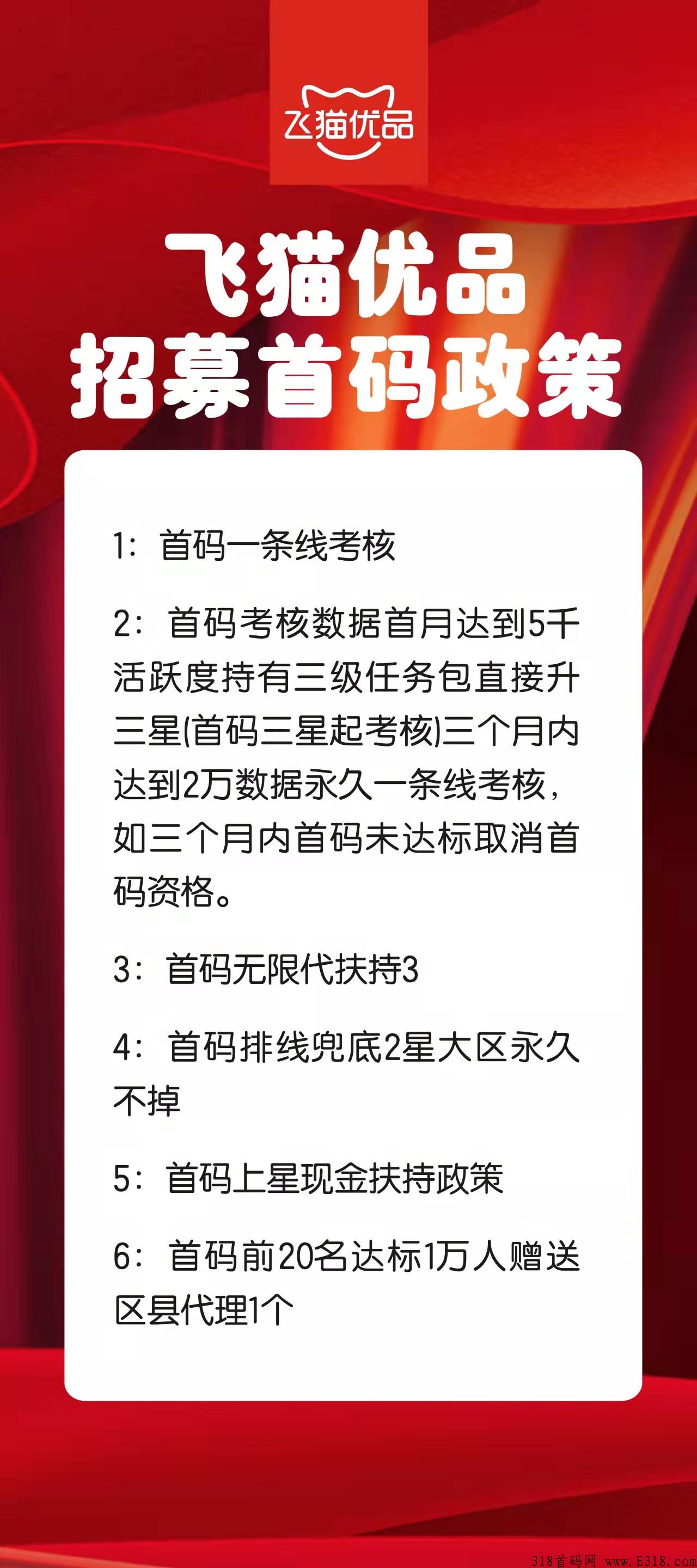 下月王炸项目，飞猫优品，即将诞生