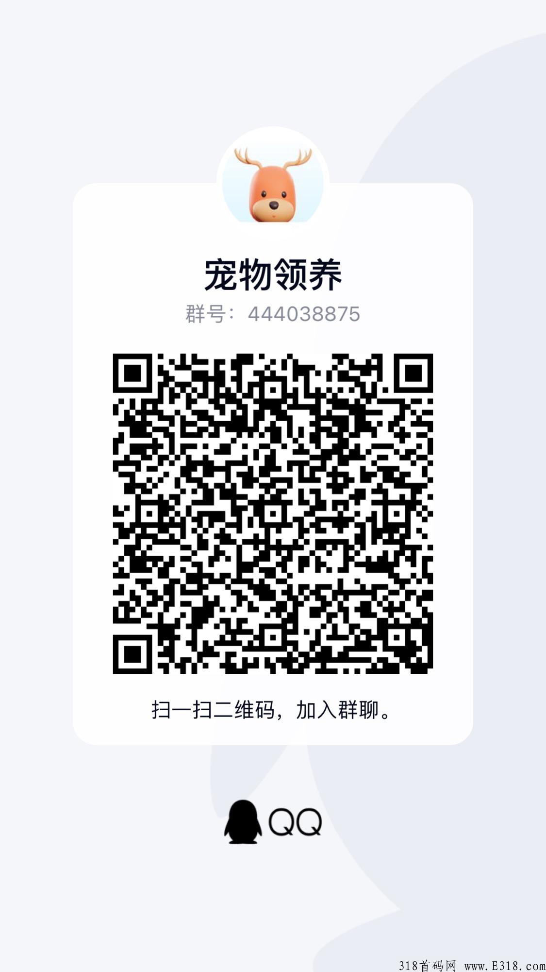 明天正式开通，宠物领养，平台分奖励，无充值入口