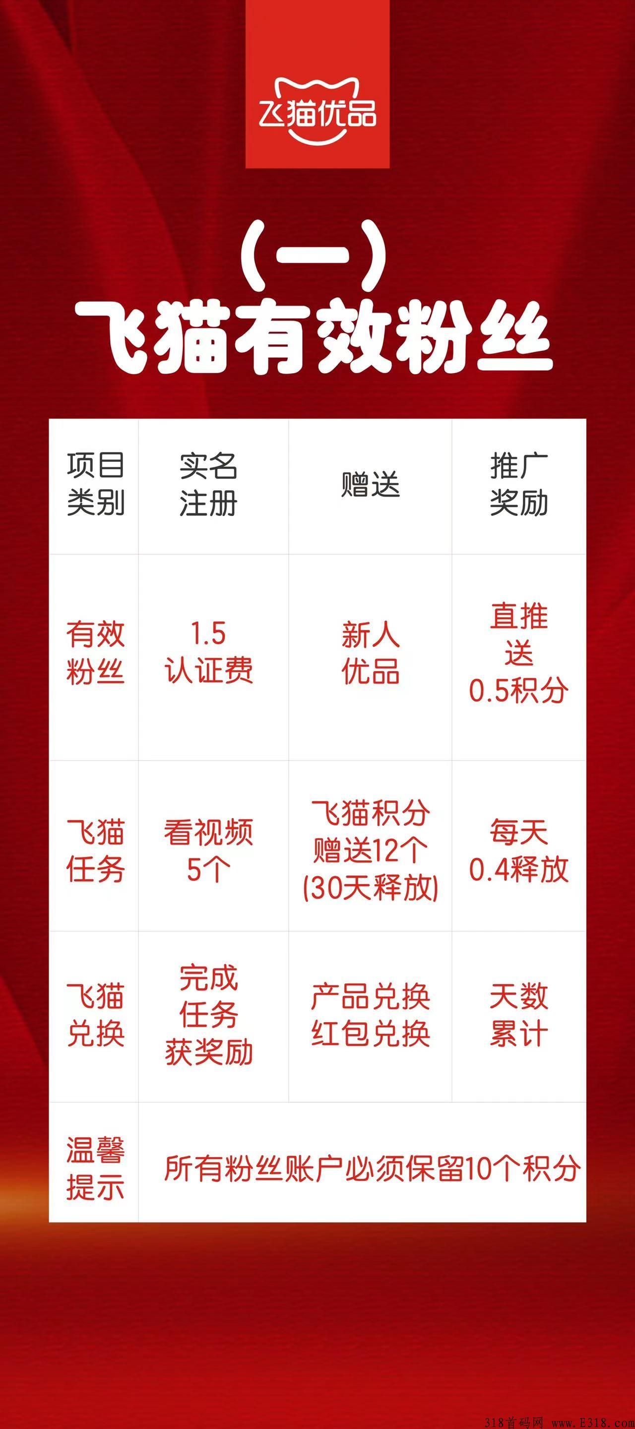 飞猫优品，维珍模式，下月上线，背书强大，无限代扶持3，一手对接市场领导人