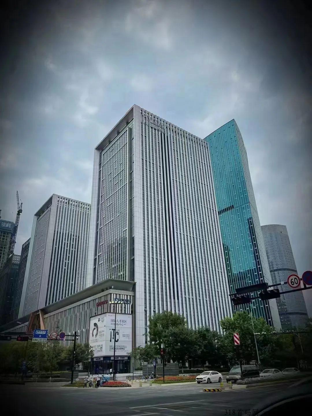 水母博士，小水母系统，miss+好项目震撼来袭！