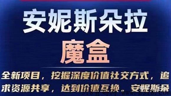 王炸项目！安妮斯朵拉魔盒长久项目招商中