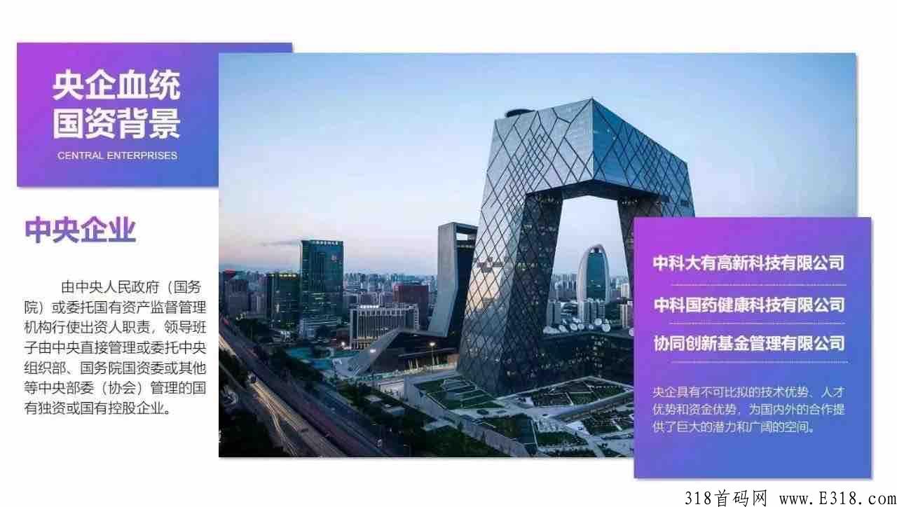 巅峰小店销售模式讲解