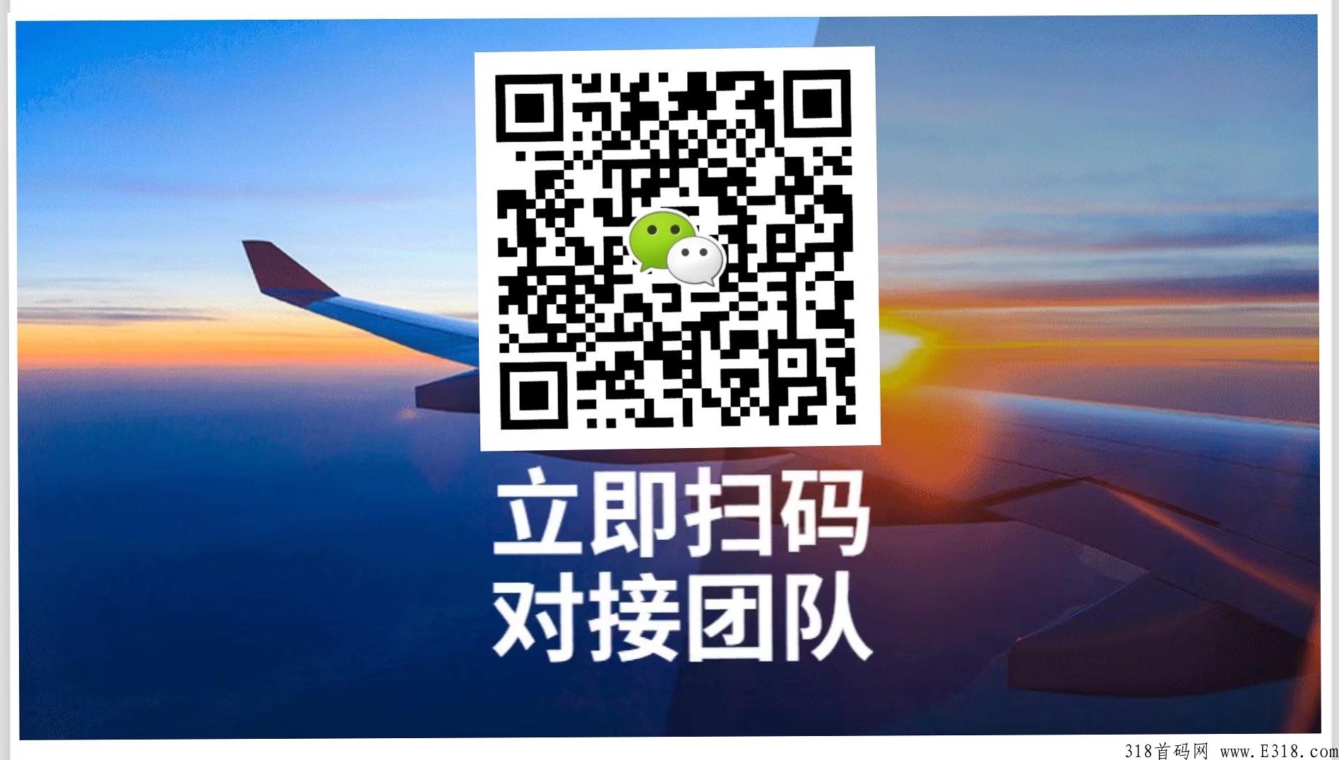 水母博士，小水母系统合伙人计划已经启动，现在全网广招精英团队合伙人