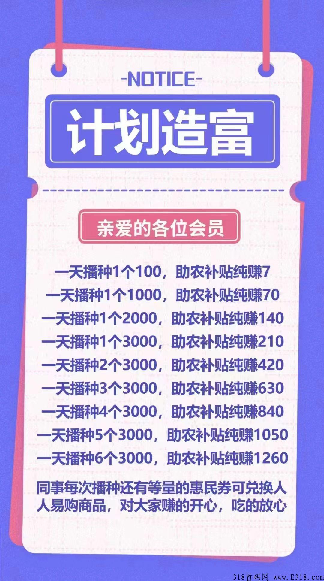 人人易购，风口项目，怎么玩