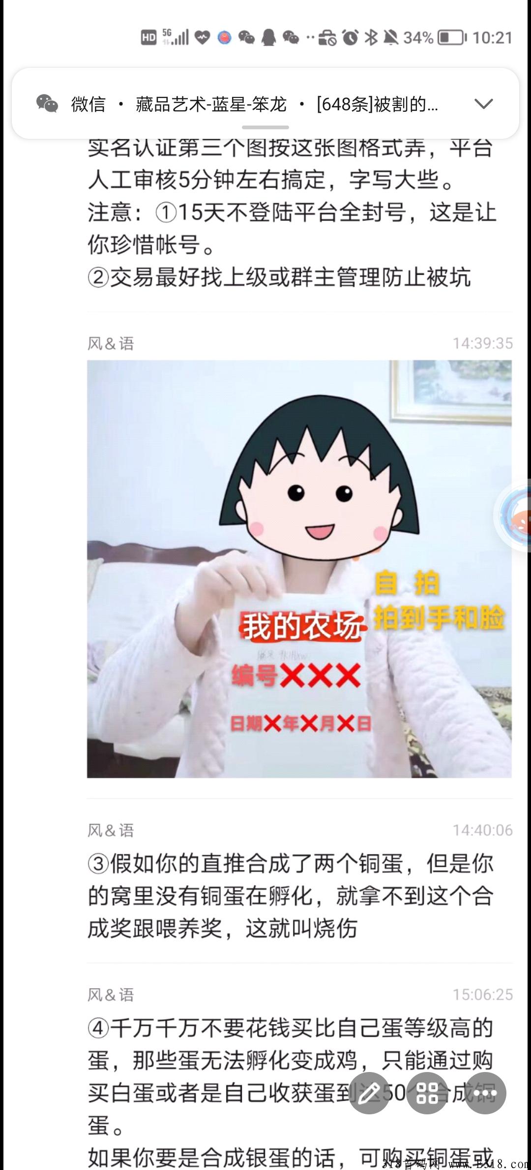 阿尼农场，速来玩，包回收与教会