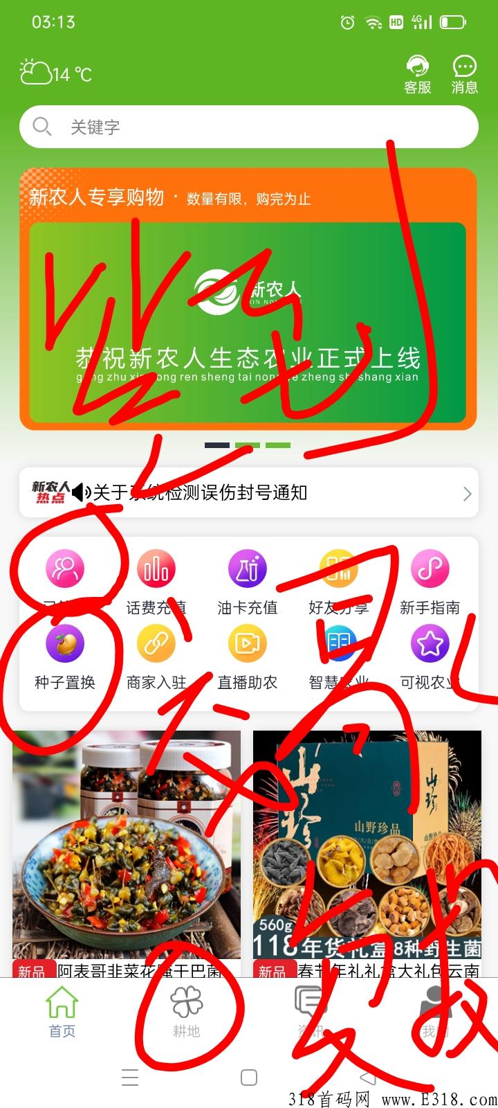 新农人，不看广告每天签到就行，卷轴模式