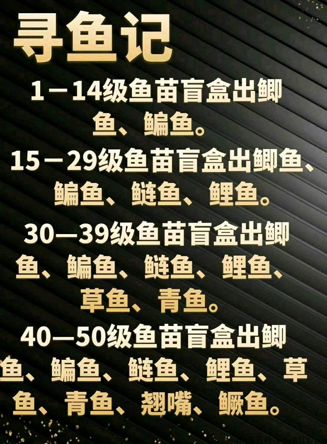 寻鱼记，稳定项目上车吃肉