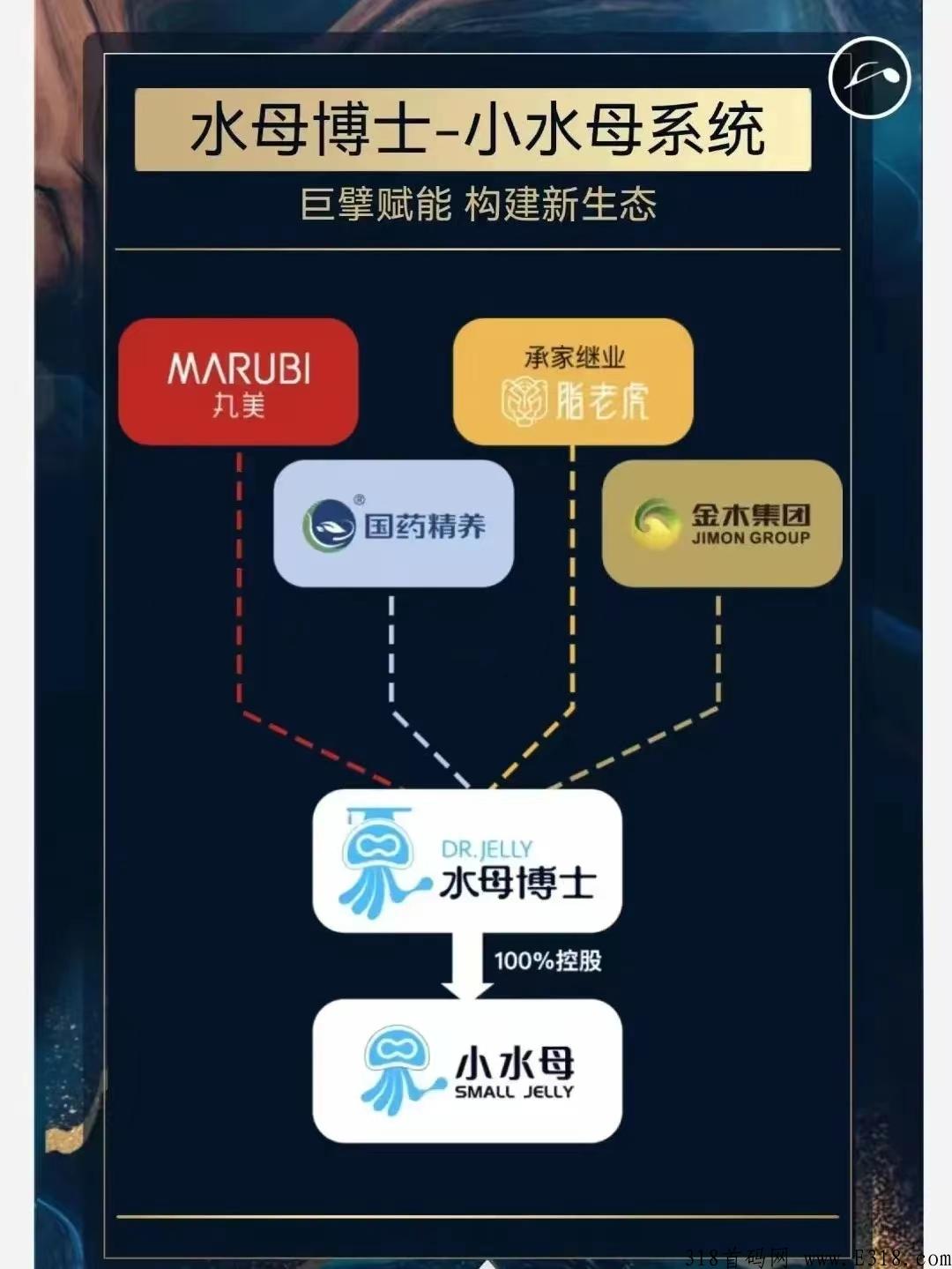 水母博士小水母是做什么的？