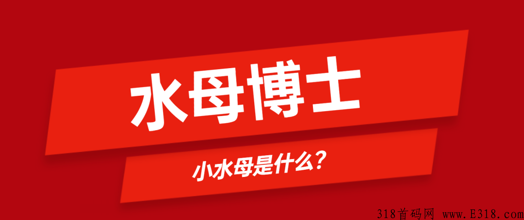 水母博士是什么？招募第一批团队合伙人