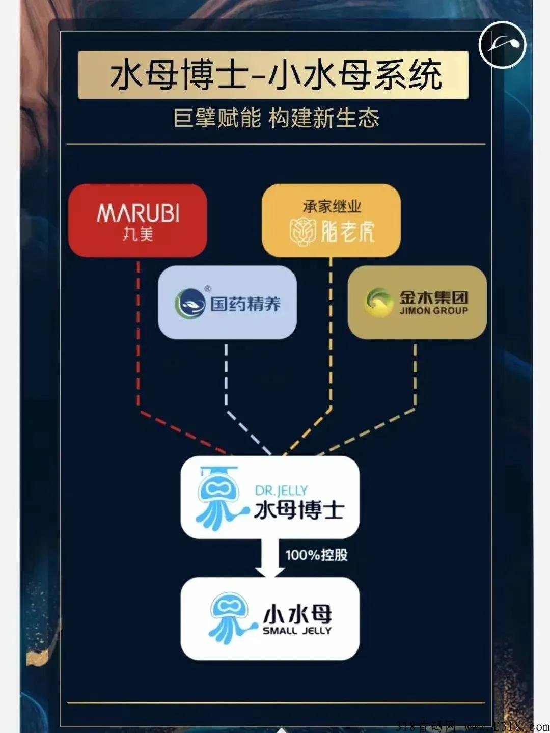 水母博士是什么？招募第一批团队合伙人