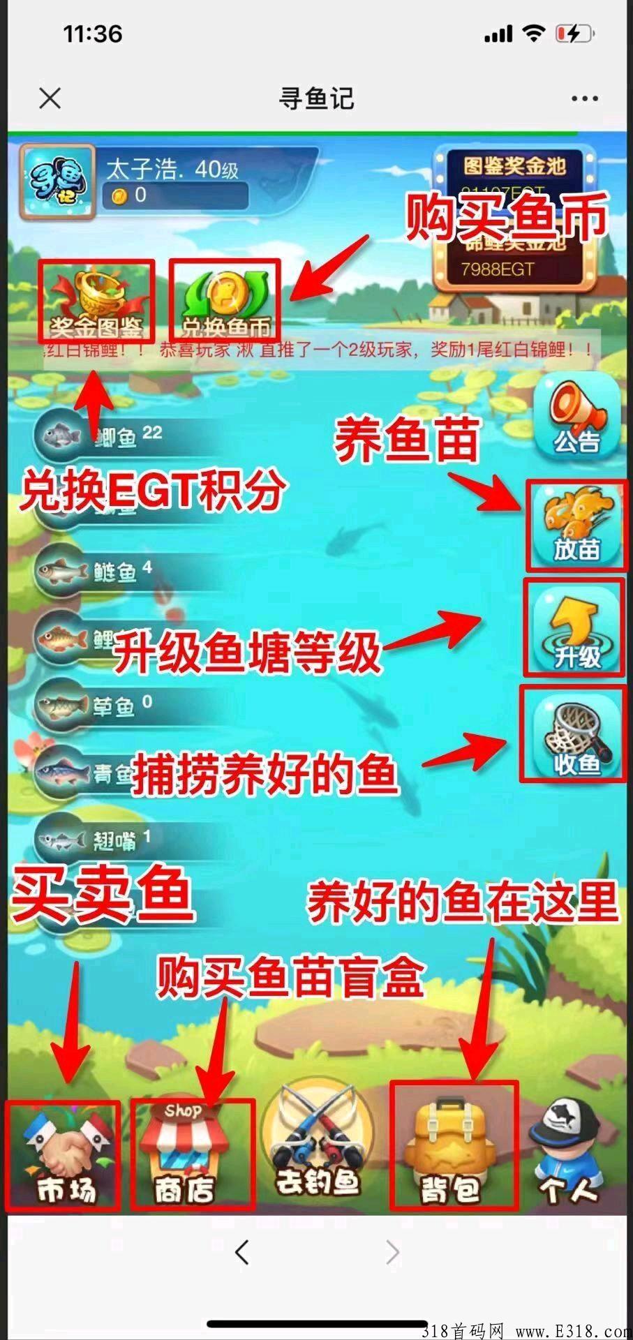 寻鱼记，一直稳定可靠，跟农链联盟，欢迎实地考察