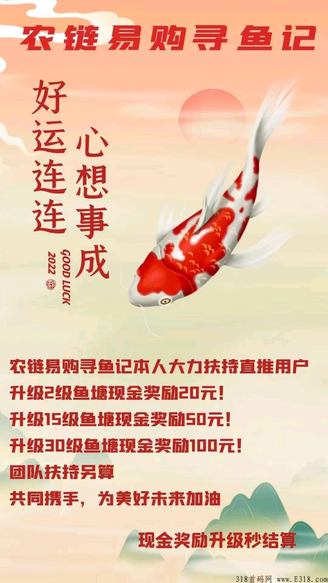 寻鱼记，一直稳定可靠，跟农链联盟，欢迎实地考察