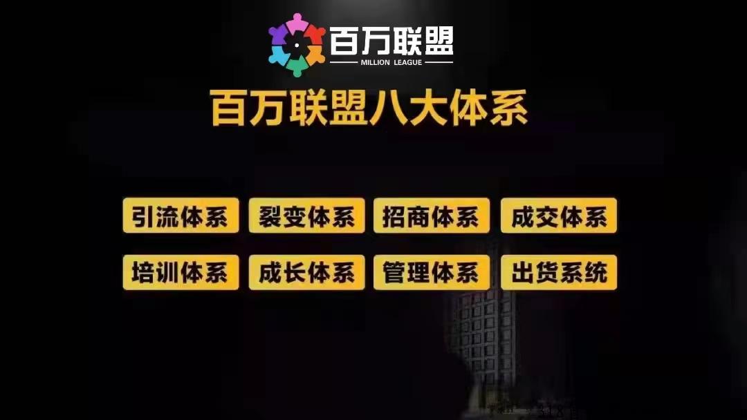 水母博士，百万联盟团队开干首码项目